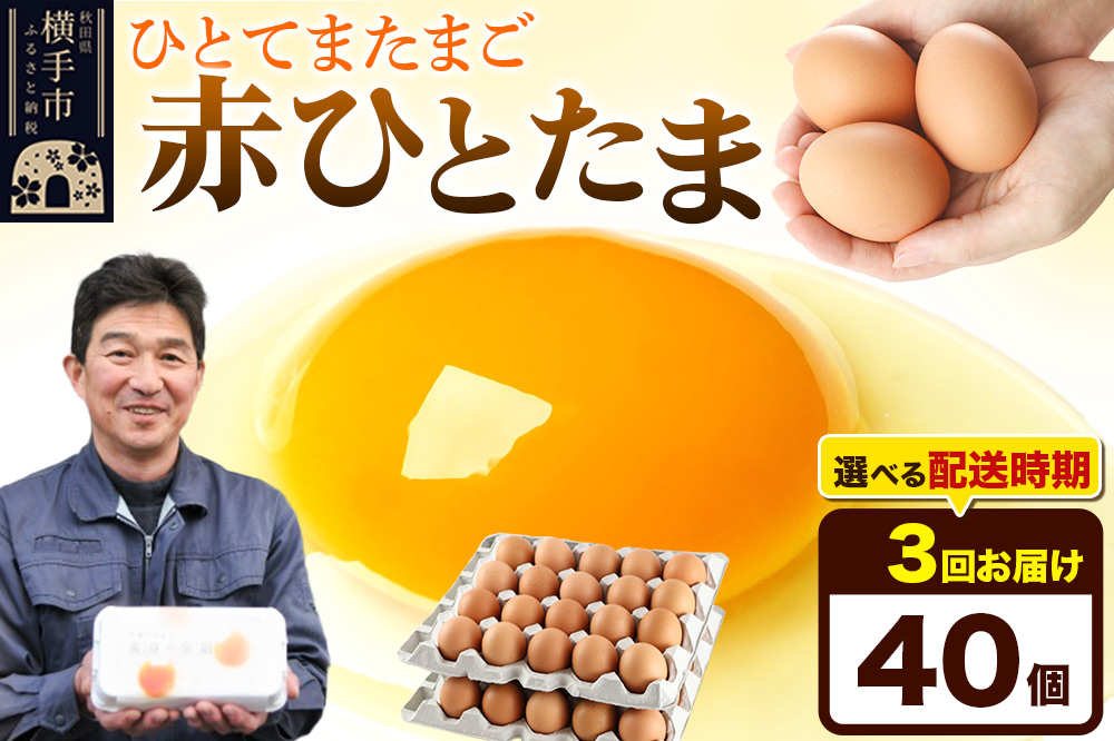 【常温発送】《定期便3ヶ月》赤ひとたま 40個（業務用）【発送時期が選べる】東海林養鶏場 赤ひとたま 卵 玉子 たまご タマゴ 3か月 3ヵ月 3カ月 3ケ月 開始時期選べる