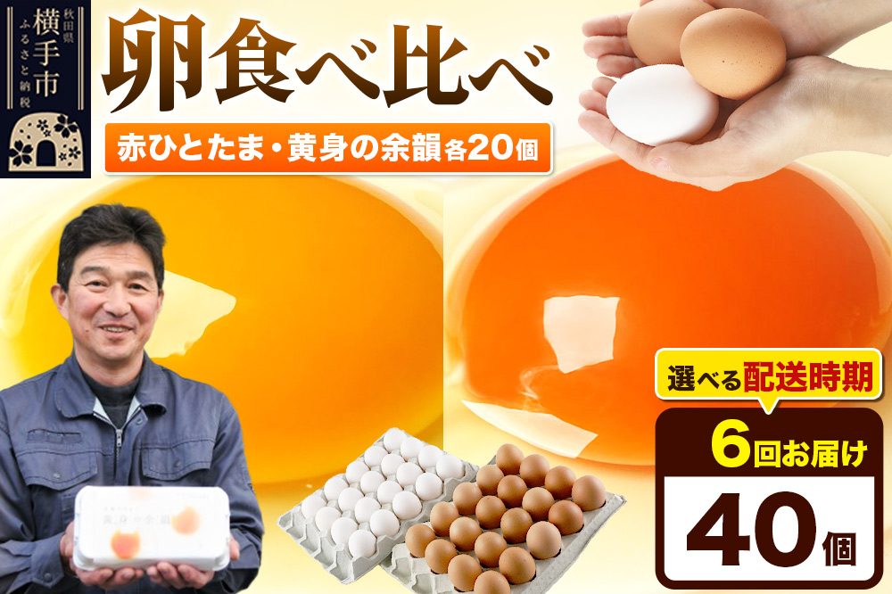 【常温発送】《定期便6ヶ月》赤ひとたま 20個・黄身の余韻 20個 計40個（業務用）【発送時期が選べる】東海林養鶏場 赤ひとたま 黄身の余韻 卵 玉子 たまご タマゴ 6か月 6ヵ月 6カ月 6ケ月 開始時期選べる