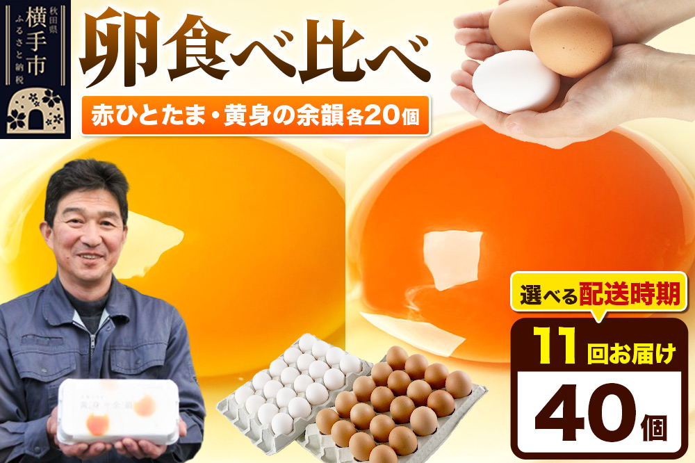 【常温発送】《定期便11ヶ月》赤ひとたま 20個・黄身の余韻 20個 計40個（業務用）【発送時期が選べる】東海林養鶏場 赤ひとたま 黄身の余韻 卵 玉子 たまご タマゴ 11か月 11ヵ月 11カ月 11ケ月 開始時期選べる