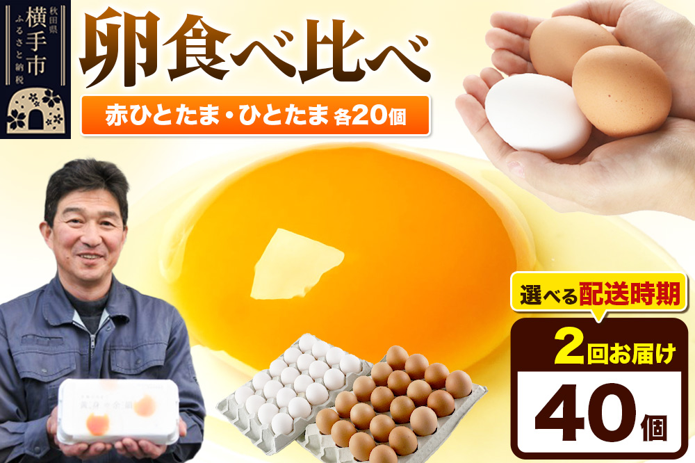 【常温発送】《定期便2ヶ月》赤ひとたま 20個・ひとたま 20個 計40個（業務用）【発送時期が選べる】東海林養鶏場 赤ひとたま ひとたま 卵 玉子 たまご タマゴ 2か月 2ヵ月 2カ月 2ケ月 開始時期選べる