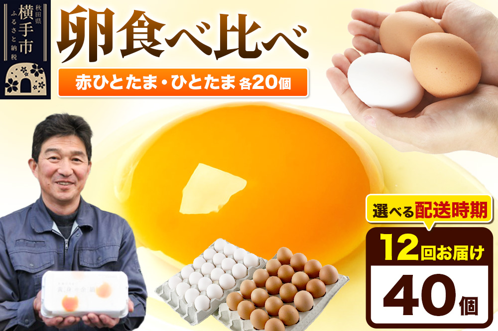 【常温発送】《定期便12ヶ月》赤ひとたま 20個・ひとたま 20個 計40個（業務用）【発送時期が選べる】東海林養鶏場 赤ひとたま ひとたま 卵 玉子 たまご タマゴ 12か月 12ヵ月 12カ月 12ケ月 開始時期選べる