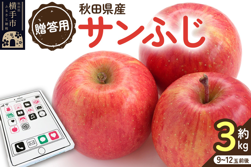 12月上旬より発送【贈答用】秋田県産 サンふじりんご 約3kg(9玉～12玉前後)