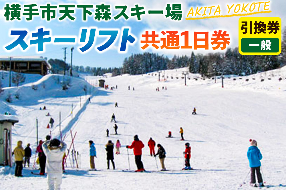 横手市天下森スキー場 スキーリフト共通1日券（一般）引換券 ゆうパケット