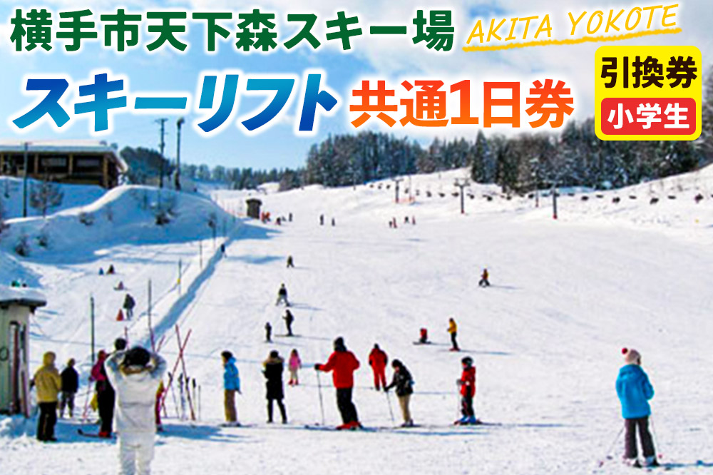 横手市天下森スキー場 スキーリフト共通1日券（小学生）引換券 ゆうパケット
