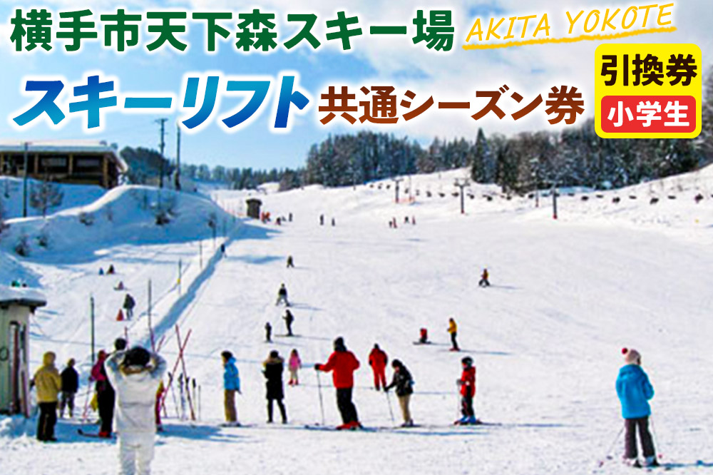 横手市天下森スキー場 スキーリフト共通シーズン券（小学生）引換券 ゆうパケット