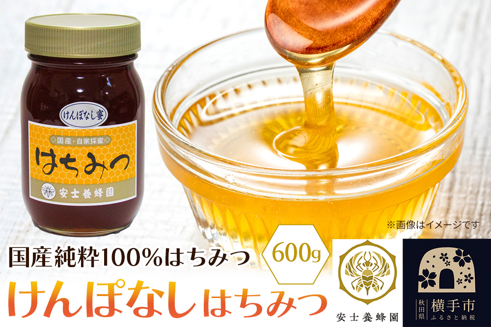 けんぽなしはちみつ 600g