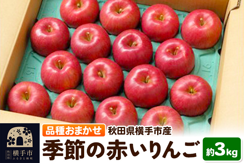 10月上旬より発送 季節の赤いりんご 約3kg（早生ふじ(やたか)、シナノスイート、早生ふじ(こまちふじ)、サンふじ）