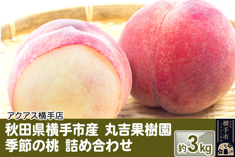 秋田県横手市産 季節の桃 詰め合わせ 約3kg (13玉〜20玉)