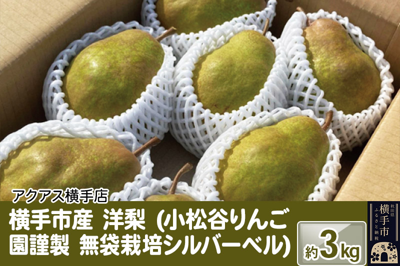 洋梨 横手市産 小松谷りんご園謹製 無袋栽培シルバーベル 約3kg