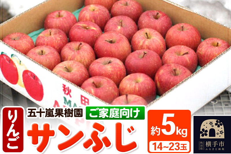 りんご 林檎 [ご家庭向け]サンふじ 約5kg (14〜23玉)