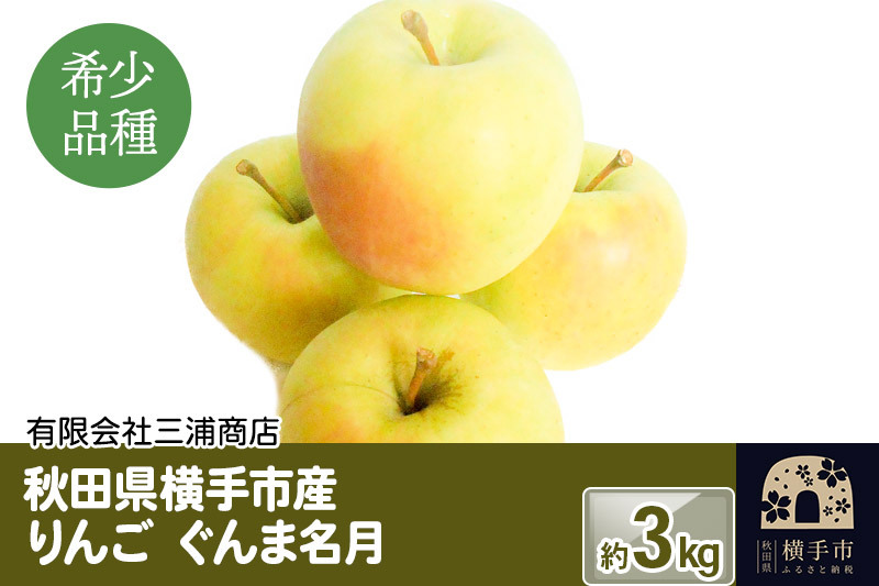 希少品種!秋田県横手産 りんご ぐんま名月 約3kg
