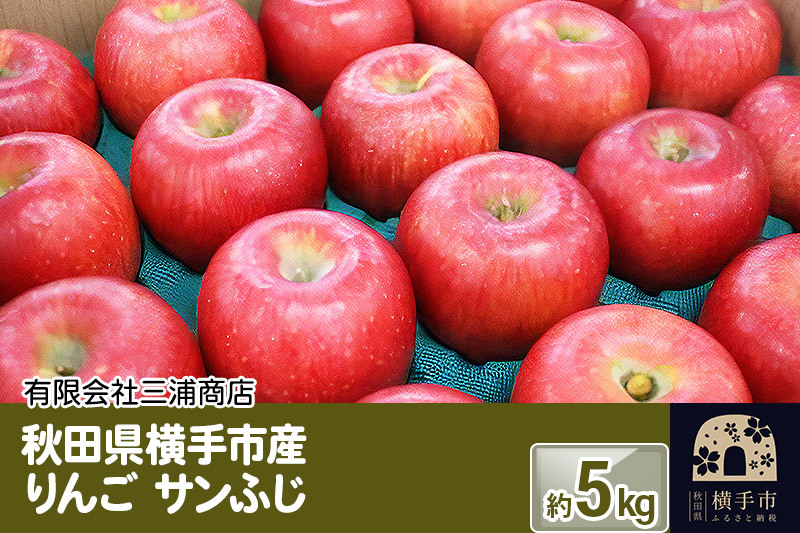秋田県横手産 りんご サンふじ 約5kg