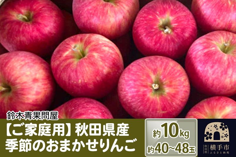 [ご家庭用]秋田県産 季節のおまかせりんごシリーズ 約10kg(約40玉〜48玉前後)