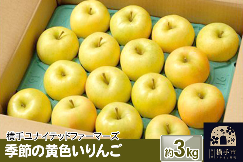 季節の黄色いりんご 約3kg