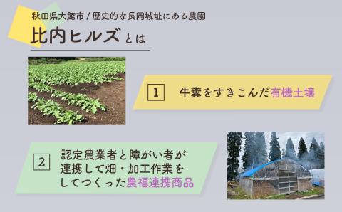 95P5701 比内ヒルズGIいぶりがっこスライス100g×10袋