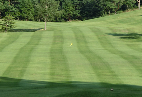 165P8401 【大館カントリークラブ】ゴルフプレー券1名様分