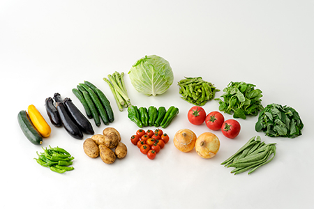 60P3205 旬の野菜宅配便