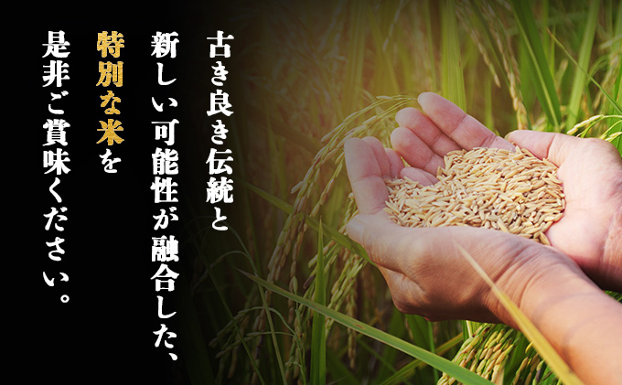 【令和7年産】ズッパーサン精米5kg（5kg×1袋）　100P9005