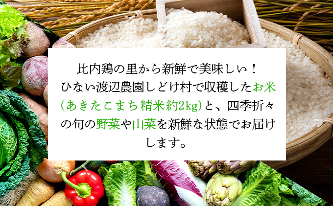 米野菜・山菜セット（5品目ほど） 115P3203