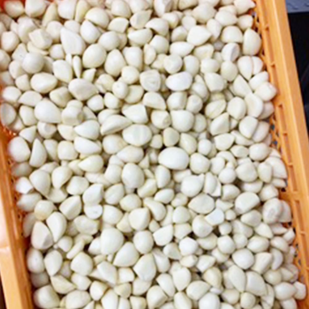 あきたしらかみにんにく 冷凍ペースト 2.5kg（約500g×5袋）　150P3202