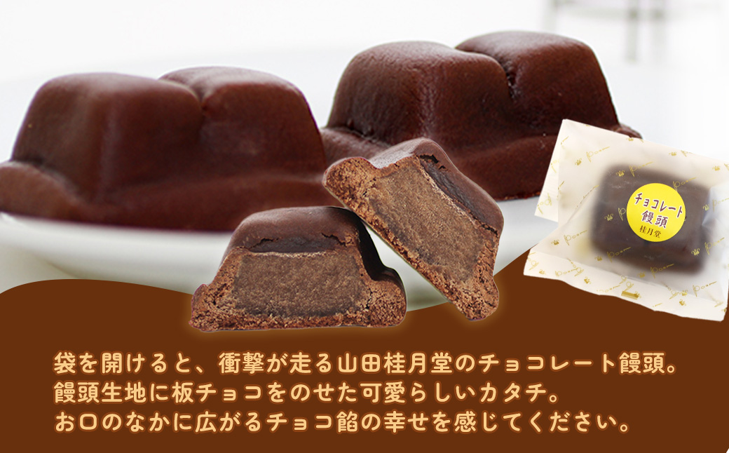 ＜山田桂月堂＞チョコレート饅頭　10個入り　40P5614