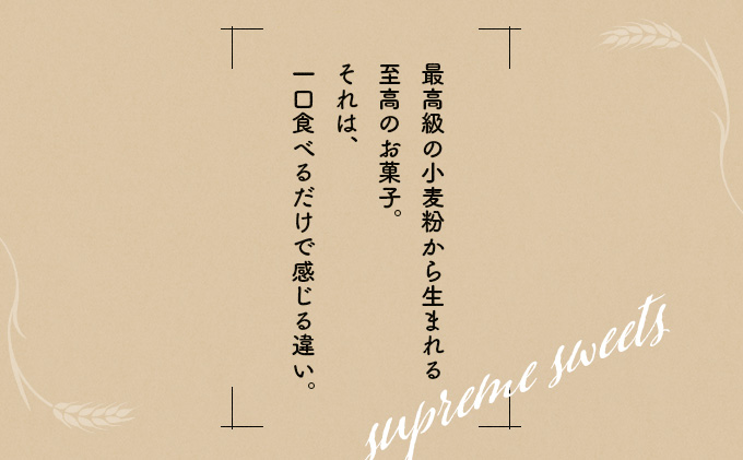 カットケーキセット フルーツ・チョコ各5個　60P5608