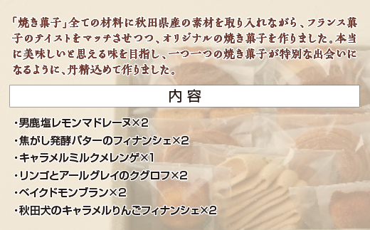 メッスナー秋田の焼き菓子セット　【60P5623】