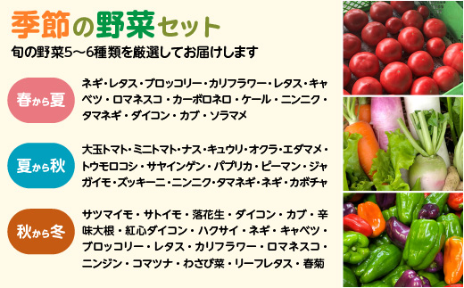 季節の野菜セット 5～6種類　【70P3207】
