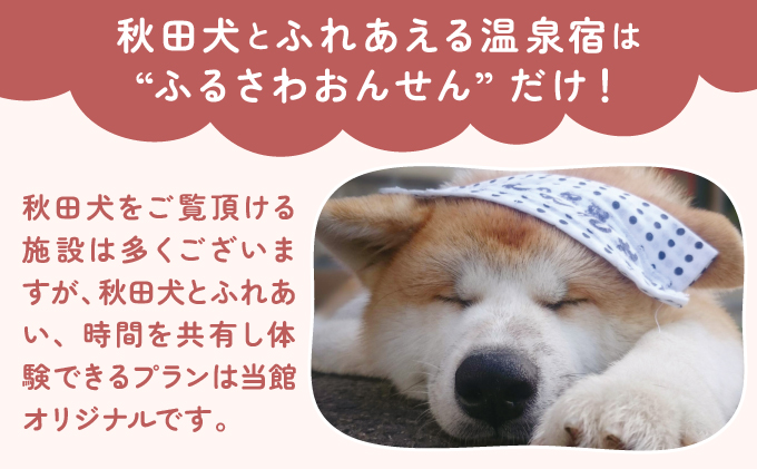 【日帰りプラン】秋田犬ふれあい体験ときりたんぽ定食　70P8402