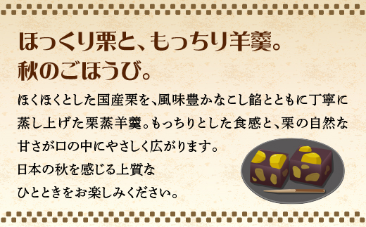 栗蒸し羊羹　10個入り　2箱　75P5605