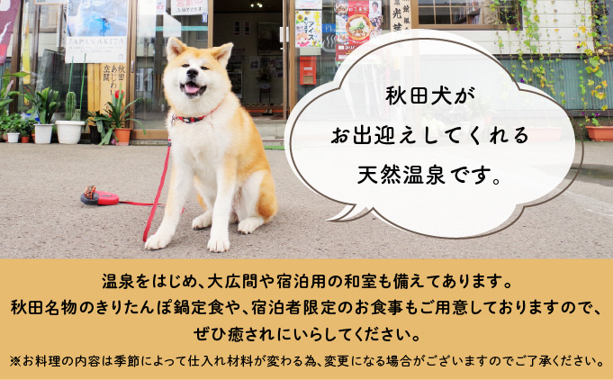 ふるさわおんせん回数券11回　75P8405