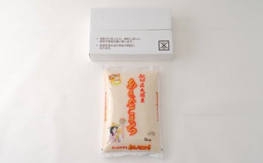 【令和7年産】秋田県大館産あきたこまち5kg　90P9035