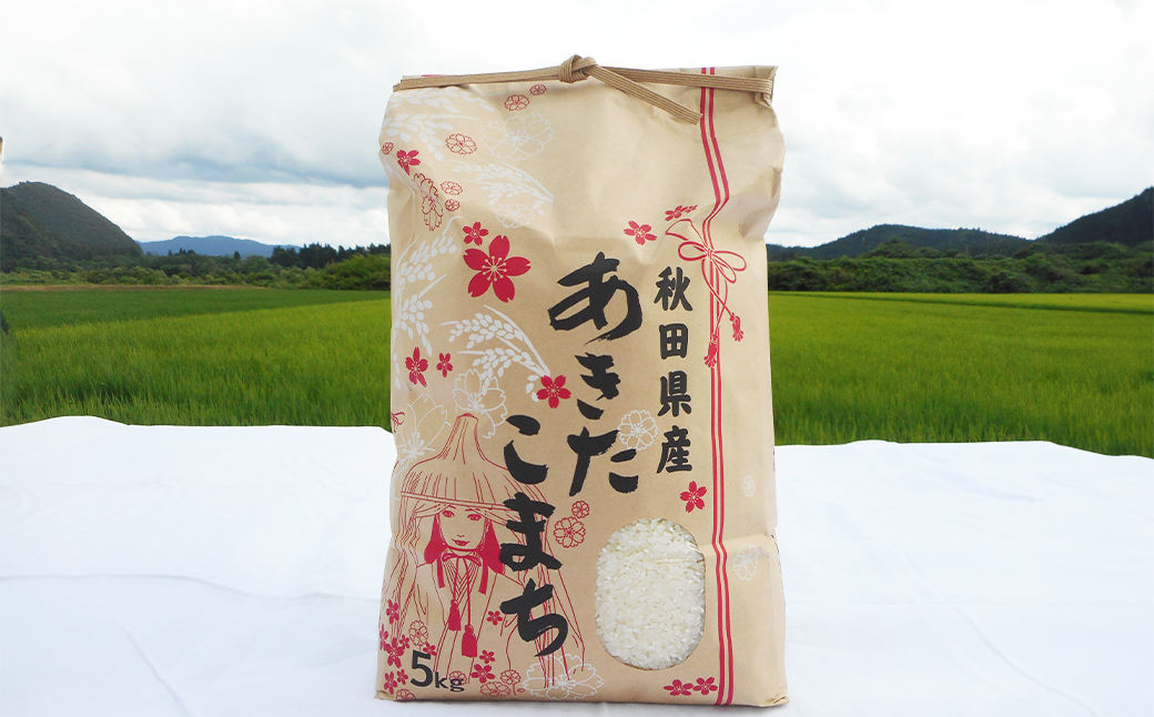 【令和7年産】あきたこまち（精米）10kg(5kg×2袋)　【95P9027】