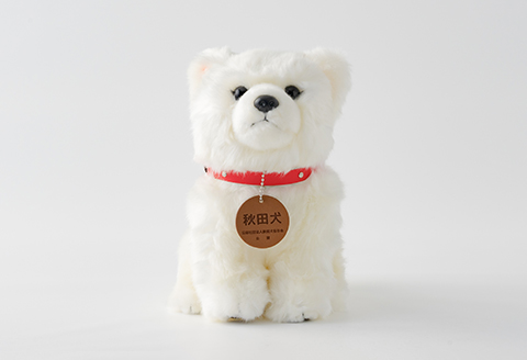 65P7304 秋田犬白毛(鼻黒)ぬいぐるみ　座りＭサイズ