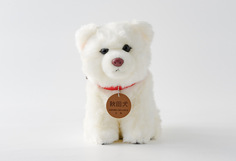 65P7305 秋田犬白毛(鼻ピンク)ぬいぐるみ　座りＭサイズ