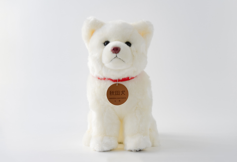 165P7305 秋田犬白毛(鼻ピンク)ぬいぐるみ　座りＬサイズ