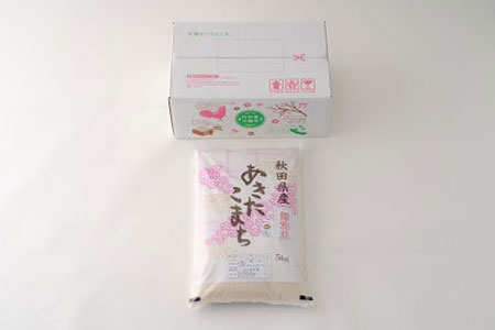 【令和6年産】【無洗米】あきたこまち5kg（5㎏×1袋）　50P9202
