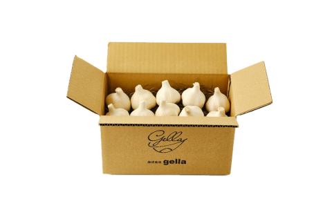 40P3215　あきたしらかみにんにく