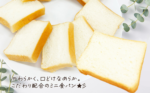 やわらかミニ食パン（6本入り）　【85P168003-03】【岩谷製パン有限会社】