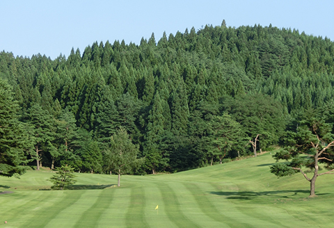 165P8401 【大館カントリークラブ】ゴルフプレー券1名様分