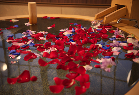 【特別室】日景温泉1泊2食付きペア宿泊券　1500P8403