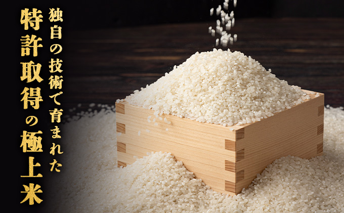 【令和7年産】ズッパーサン精米5kg（5kg×1袋）　100P9005