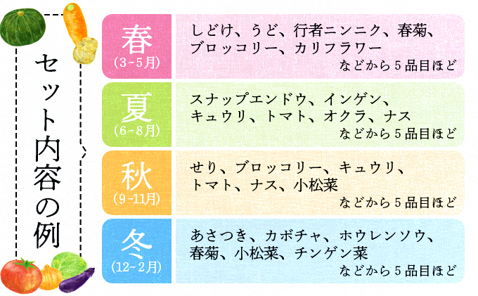 米野菜・山菜セット（5品目ほど） 115P3203