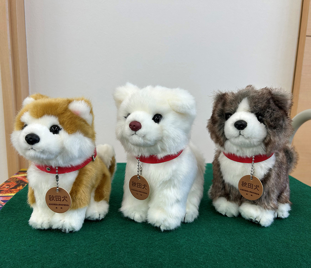 ＜よちよちあきた＞秋田犬3種セットSサイズ（赤・白・虎）　【130P7309】