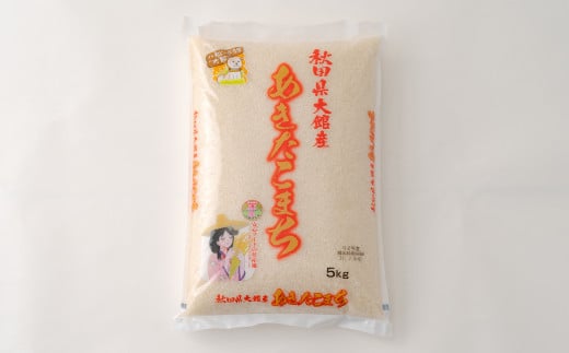 【令和7年産】秋田県大館産あきたこまち10kg(5kg×2)　170P9003