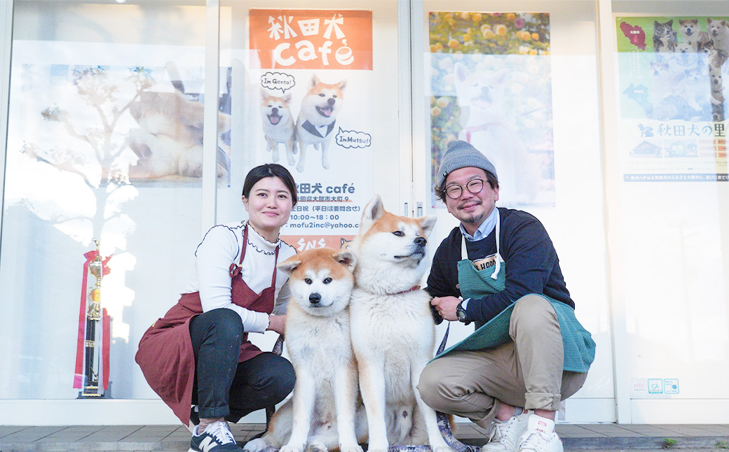 もふもふ秋田犬ふれあい体験30分 大人（中学生以上）　1名様（ふれあい10分・1ドリンク付）　【35P8401】