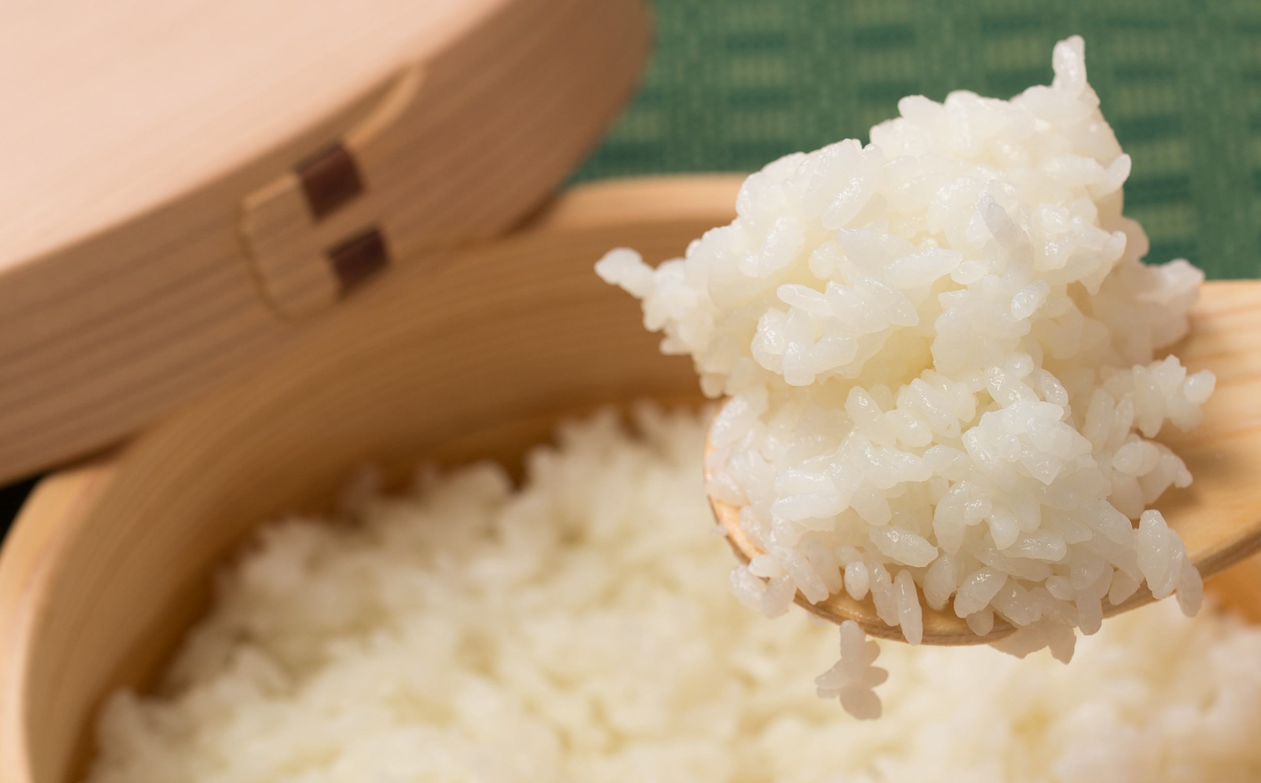 【定期便6ヶ月】令和7年産　秋田県産米「あきたこまち（無洗米）」 5kg（5kg×1袋）　420P9202