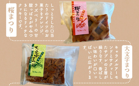 大館散歩　10枚入り　55P5615