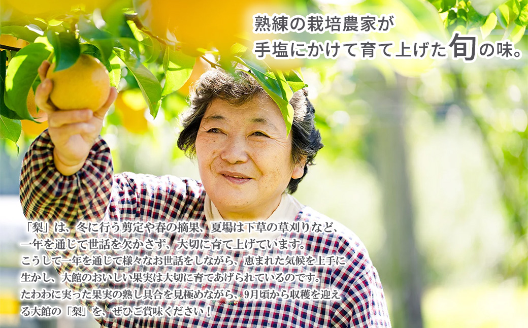 【数量限定・期間限定】陽気な母さんの梨詰め合わせ　5kg　65P3407