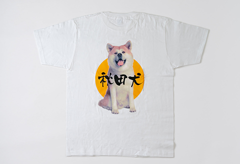 60P5704 秋田犬Tシャツときりたんぽビスのセット